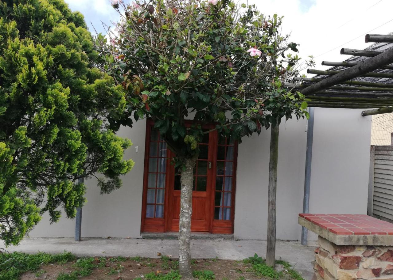 La Maison On 3Rd Guesthouse Port Elizabeth Ngoại thất bức ảnh